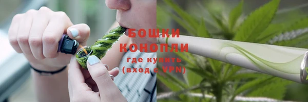 ПСИЛОЦИБИНОВЫЕ ГРИБЫ Абдулино