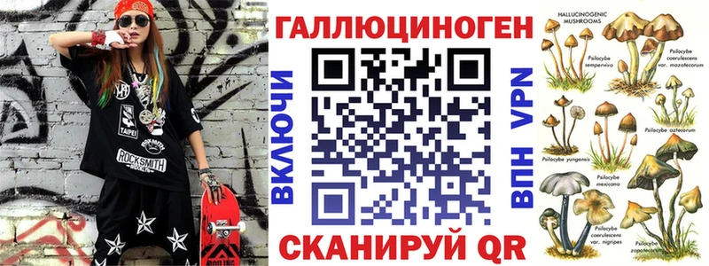 купить   Кирсанов  Псилоцибиновые грибы MAGIC MUSHROOMS 